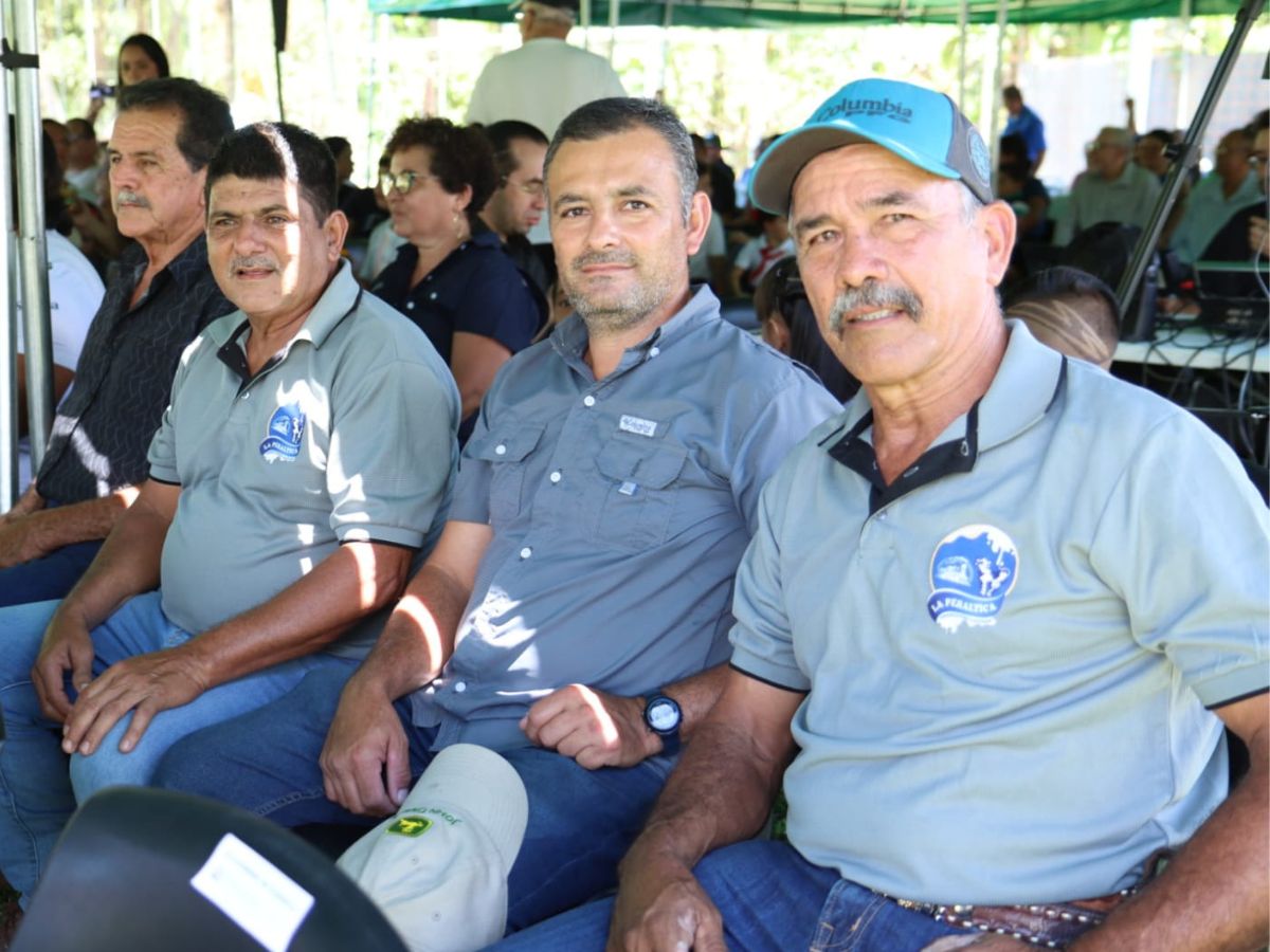 El proyecto en el asentamiento El Tigre en Oreamuno beneficia a 108 personas