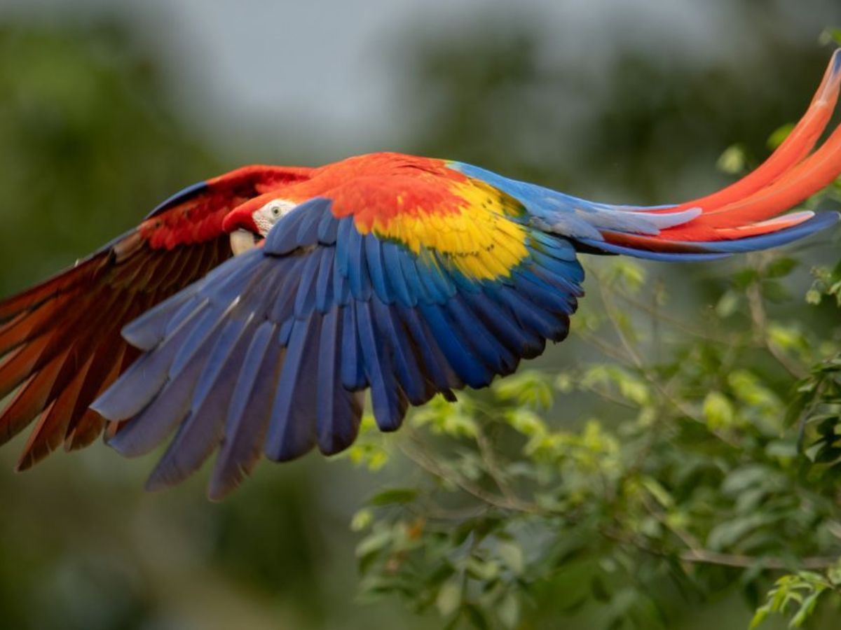 Travel+Leisure destaca al país por su naturaleza única y diversa