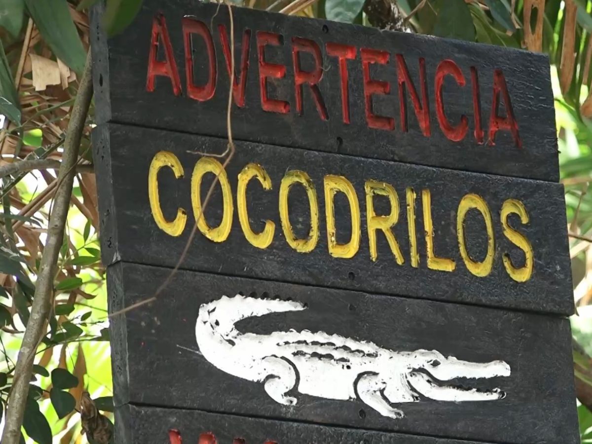 Un total de 55 rótulos de gran formato para la prevención de interacciones entre seres humanos, cocodrilos y caimanes se colocaron en sitios identificados con alta presencia de estos reptiles.