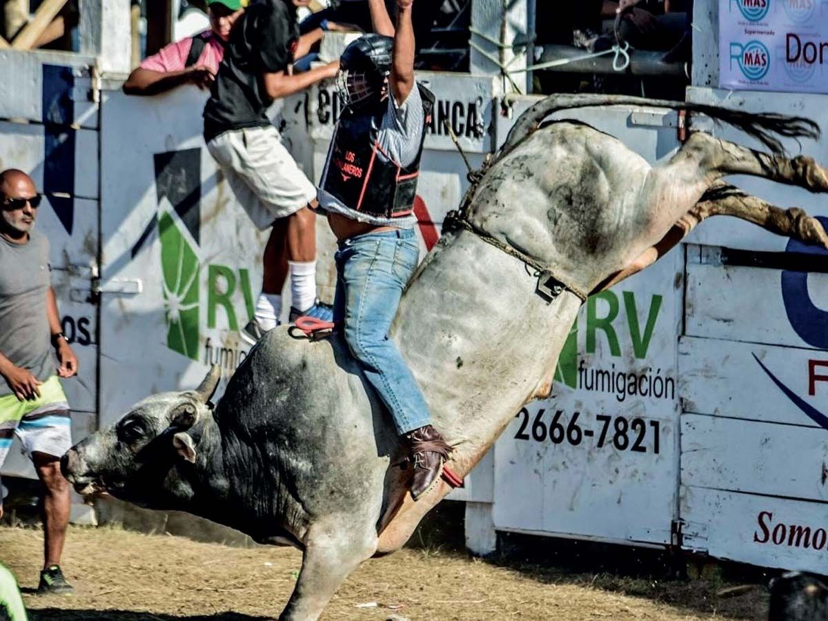 Decisión busca mantener precios bajos