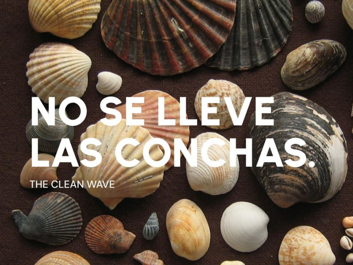 Exhibición Rising Tides en Villarreal de Playa Tamarindo