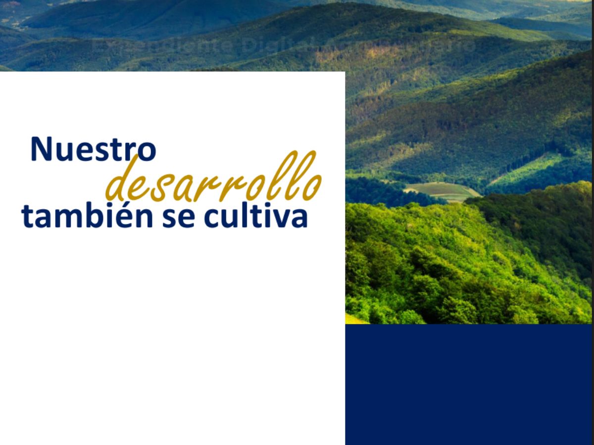 La publicación reúne datos sobre producción, exportaciones, empleo, condiciones de vida en las zonas rurales y sostenibilidad.