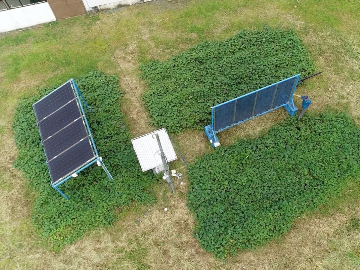 Entre cultivos y estructuras metálicas, paneles solares bifaciales generan electricidad mientras las plantas de camote crecen bajo ellos. Así nació en el Campus Tecnológico Local San Carlos del TEC la primera instalación agrivoltaica experimental de Costa Rica: una apuesta por producir energía limpia sin desplazar la agricultura.