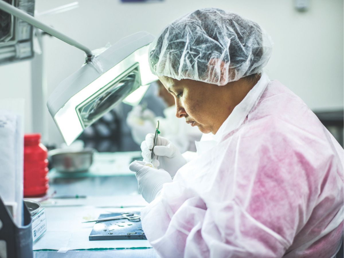 Dispositivos médicos, servicios empresariales, servicios TICs, piña y banano, son los principales bienes y servicios exportados del país.