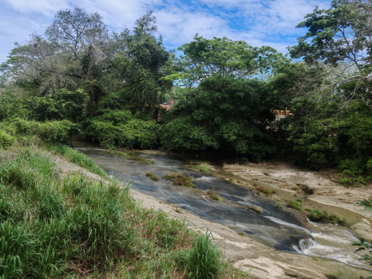 La Sede Regional Chorotega de la Universidad Nacional (UNA) desarrollará, duran- te los próximos tres años, el proyecto Re- habilitación de ecosistemas fluviales en la subcuenca del río Liberia, desde una perspectiva etnobiológica, como herramienta para mitigar el cambio global. La iniciativa busca recuperar tramos estratégicos de dicho río y fortalecer la relación entre las. comunidades y este ecosistema.