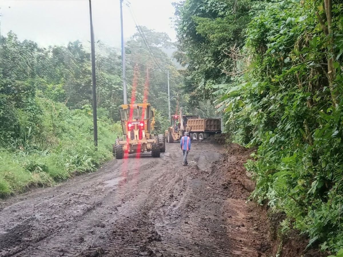 Labores comenzaron ayer martes y se extenderán por 2.5 meses.