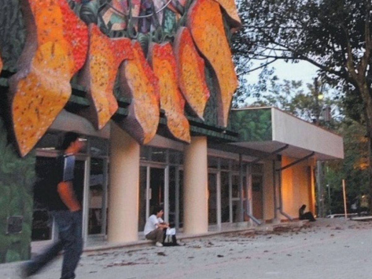 Desde 1940, la Universidad de Costa Rica ha contribuido a transformar el país mediante la educación pública, la investigación, la acción social, la cultura y la defensa de los valores democráticos