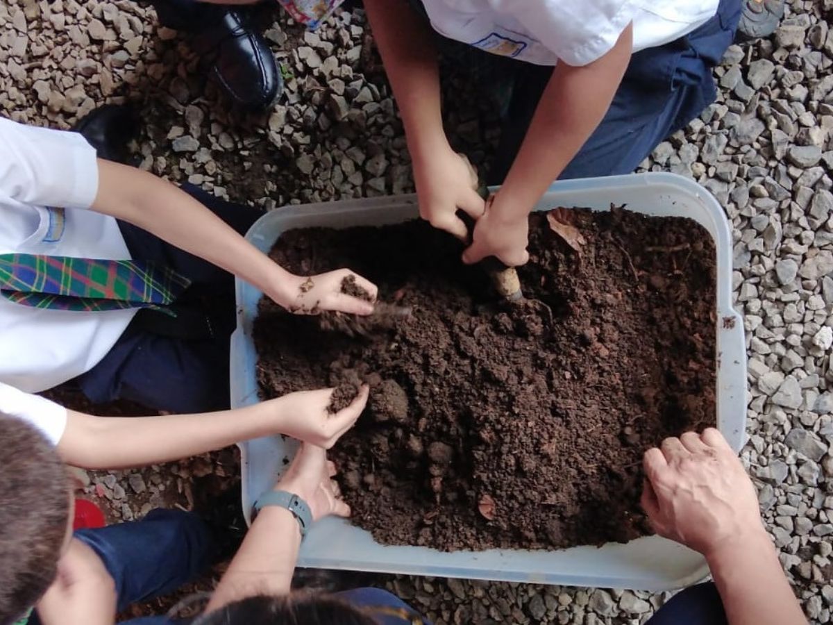 15 instituciones tendrán la oportunidad de formar parte del programa