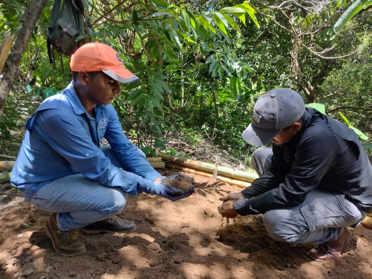 Será obligatoria en julio de 2026 y permitirá mayor trazabilidad y fiscalización de plaguicidas de mayor riesgo