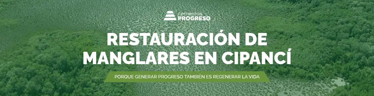 Restauración de Manglares en Cipanci Cementos Progreso