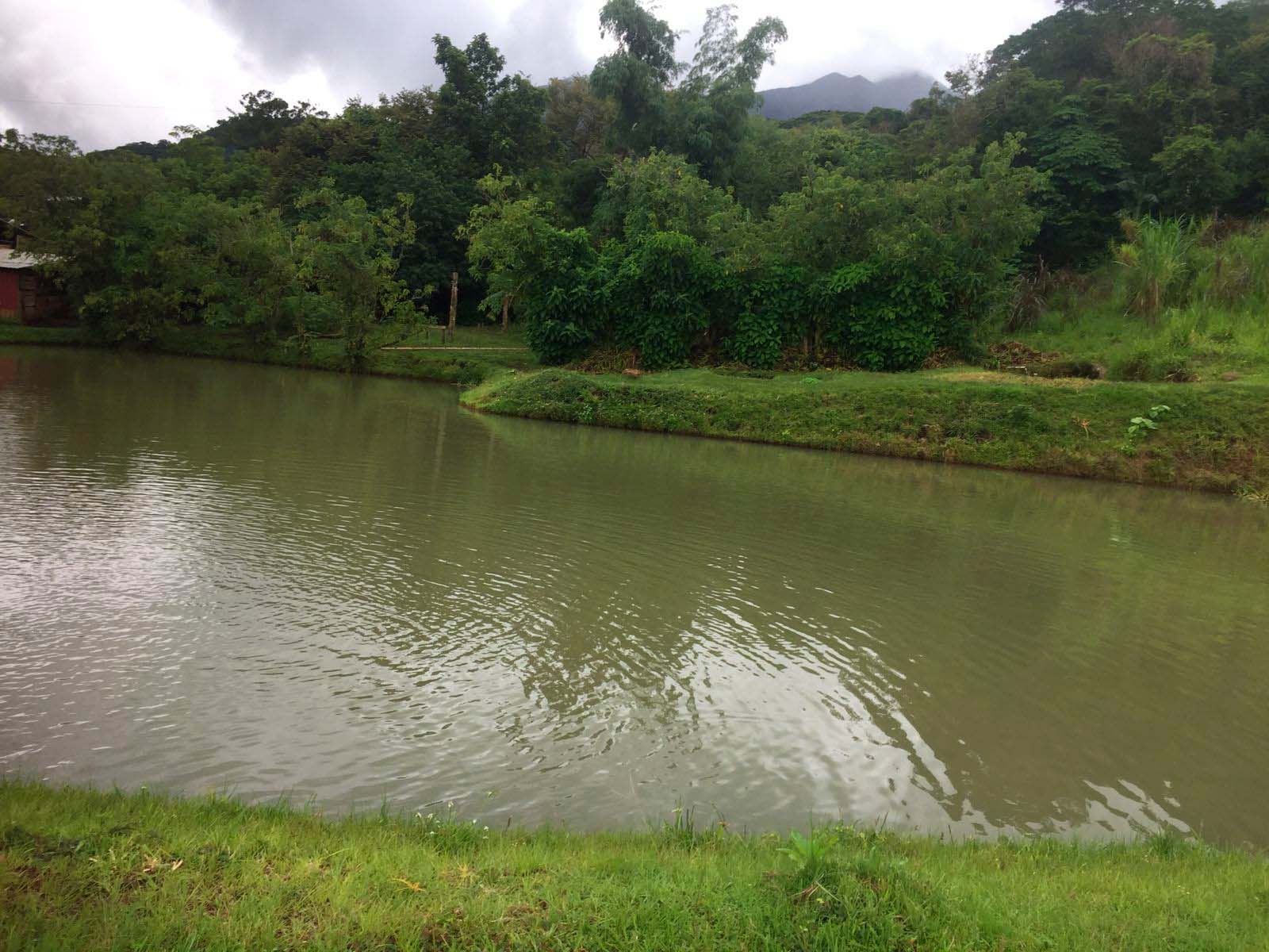 Guanacaste cuenta con 60 reservorios de agua para producción agropecuaria